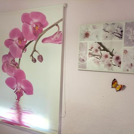 La Casita De Ana. Puerta Valencia. Casco Antiguo Villa Cuenca  Ngoại thất bức ảnh